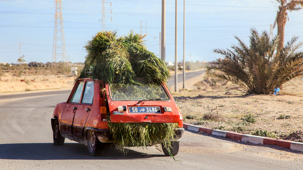 Foto di una Renault 5 carica di Fieno in Tunisia, 2011, Anita Maggiani Travel Photography